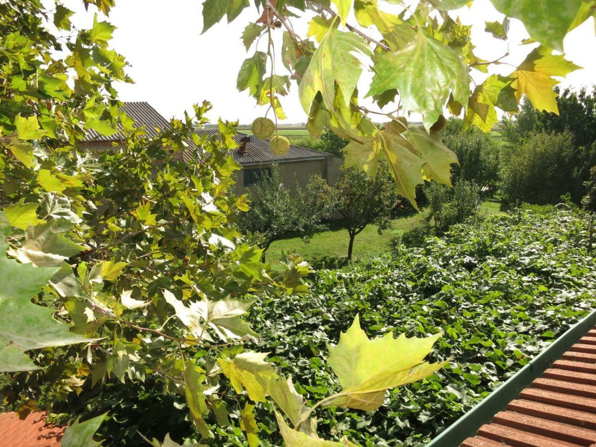 Pension Lang Sankt Andrä bei Frauenkirchen Exterior foto